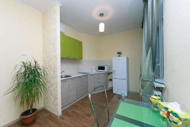 Апартаменты Уютная студия Осокорки Киев-55